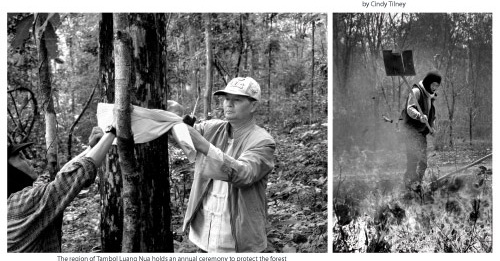 Burning has been used by farmers in Chiang Mai for generations