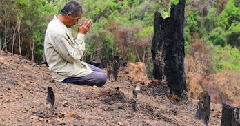 Chiang Mai farming