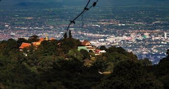 White elephat Doi Suthep