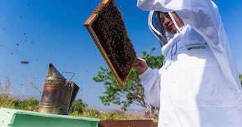 Supha Bee Farm Chiang Mai