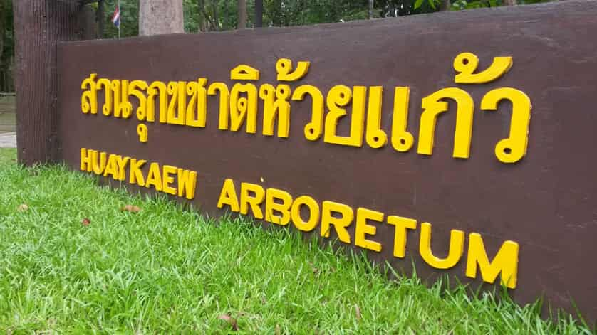 Huay Kaew Arboretum 2