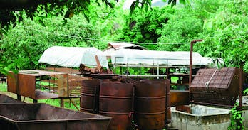Michael Shafer, Director Warm Heart Foundation writes a passionate piece about taking action to reduce seasonal solution. And he has some answers too!