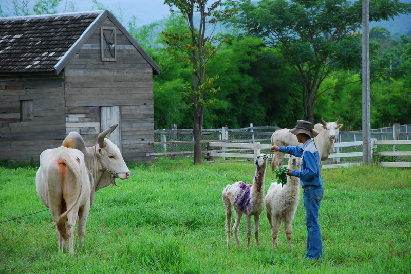 small_fram by yong_16_resize1