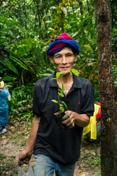 tree-planting-volunteers 2