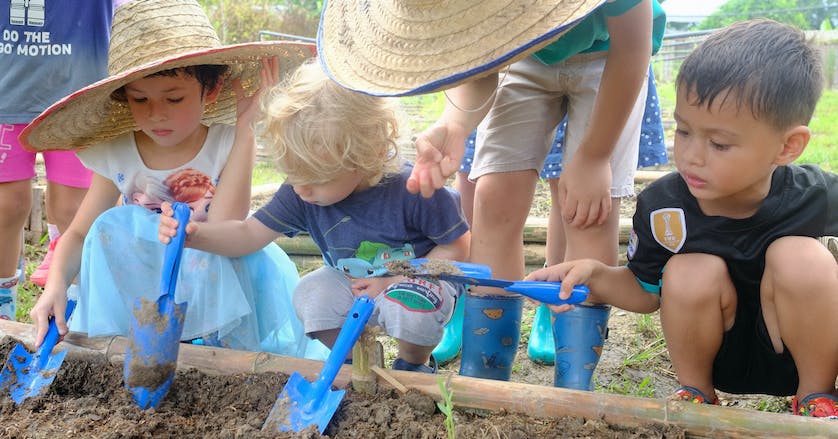 Toddlers planting seeds at Chiang Mai Montessori International School